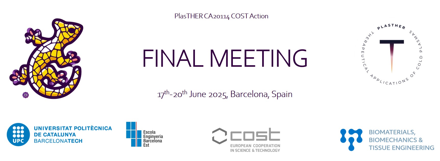 Banner Final Meeting PlasTHER COST Action