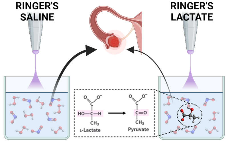 New paper studying how the oxidation of lactate to pyruvate mediates the cytotoxic potential of plasma‐treated saline solutions in ovarian cancer.
